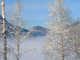 Winter Winter